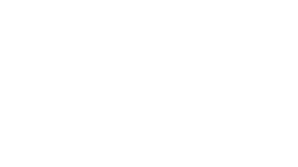 bifire