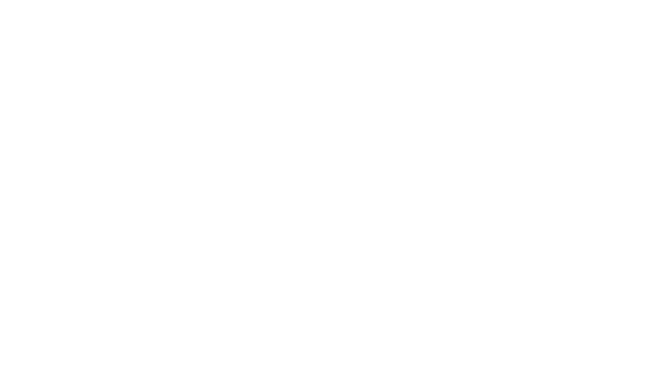 fassa